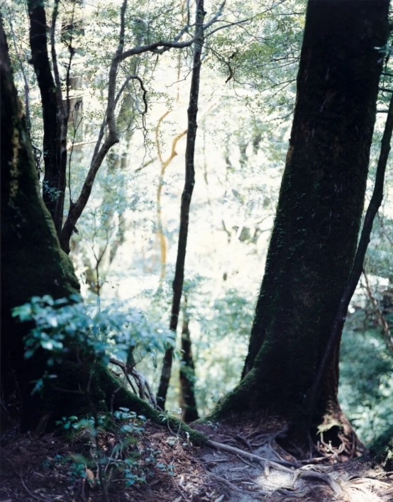 wps48
