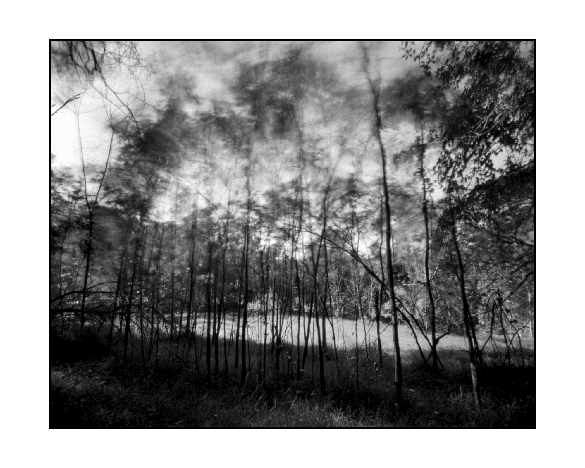 Cumberland Reach_